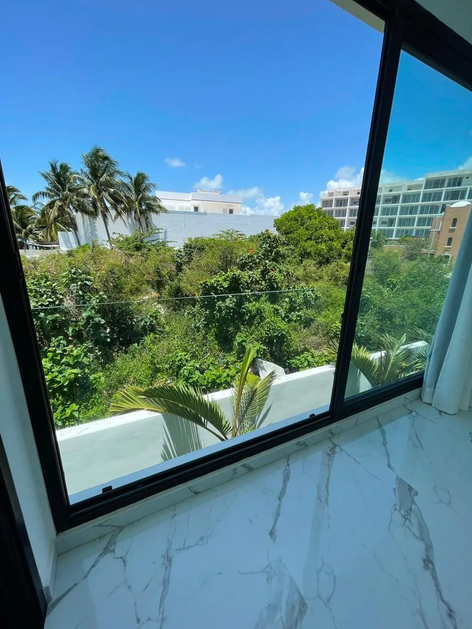 Ventana corrediza de aluminio negro con vista a vegetación y palmeras